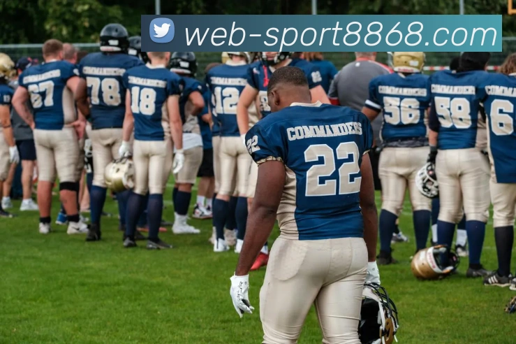 8868体育平台生态图